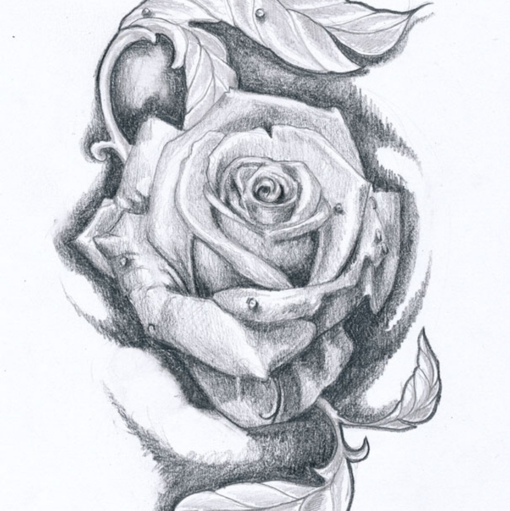 Meet your Posher, Rhiannon